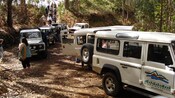 A tour group hiking up a dirt path away from 6 jeeps parked on a forest dirt road