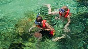 Two children outfitted in snorkel gear swimming with and taking pictures of a young sea turtle