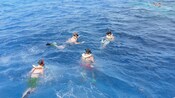 Four boys outfitted in snorkel gear swimming in the ocean together