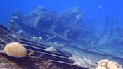 The remains of a sunken ship covered in coral, algae and other sea life