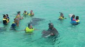 A group of people outfitted in snorkel gear standing in chest deep water while stingrays swim in their midst