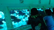 Dos niños en un entorno similar al de un submarino observando bancos de peces a través de grandes ventanas