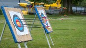 Arrows in archery targets