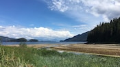 A grassy shoreline looks out to surrounding mountains and islets covered in forest and vegetation