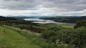 Hills, flowers, grass, trees and a body of water