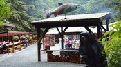 A campground with a covered outdoor barbecue pit, picnic tables and a sign that reads Salmon Bake