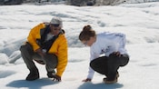 A man and a woman on an ice field squat and place their hands on the glaciers surface