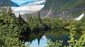 Alpine trees growing around a glacial lake at the base of a mountain