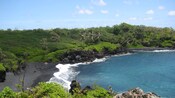 A black sand beach, surrounded by thick foliage