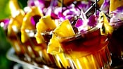 Drinks, lined up in glasses decorated with pineapple wedges and plumeria flowers