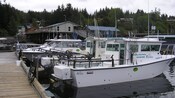 Several small fishing boats are docked at a pier
