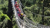 Um grupo de mochileiros com capacetes cruzam o desfiladeiro da floresta em uma ponte estreita de cordas, em fila indiana
