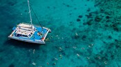 Snorkelers sim above a a reef with a while catamaran sits nearby