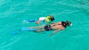 A man and a little boy snorkeling
