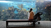 Una mujer sentada en un banco con una carriola cerca de un acuario