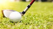 Un palo de golf situado detrás de una pelota en una calle