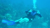 A female scuba diver forms the OK signal with her hands underwater
