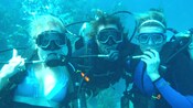 Three scuba divers