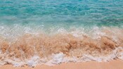 Ocean waves on the beach