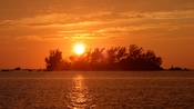 Un atardecer cerca de una isla llena de árboles