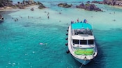 A boat full of people near a group of swimmers in a cove