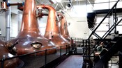 Large copper vats in a modern distillery