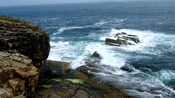 Coastal cliffs and crashing waves