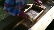 A child’s hands hold a mesh tray to mine for gems over a trough