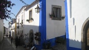 An alleyway with cobblestone runs by a group of old, well maintained buildings with plants hanging from their windows