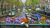 Uma bicicleta escorada em um vaso de flores em uma ponte do canal