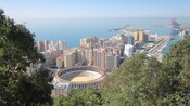 A city port near trees and an arena