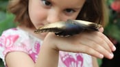 A little girl stares at a butterfly on her hand