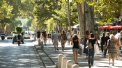 Un sendero cubierto de árboles con personas, restaurantes, automóviles y una fuente