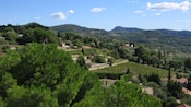 Um campo coberto de florestas, pomares e casas
