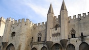 Pont du Gard Aqueduct & Avignon Sightseeing