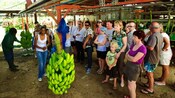 A tour group observes plant workers preparing bunches of bananas for shipment