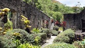 A lush garden grows on and around the concrete ruins of an old plantation