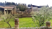 Roman ruins stand amid the remains of ancient gardens