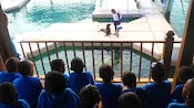 A woman feeds a seal while a group of children observe