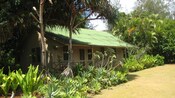 An old plantation style house, surrounded by a tropical garden and fronted by a well kept lawn