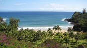 The view from above a field of palm trees, a well kept lawn and a white sand beach