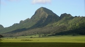 A grass plain gradually curves into a hillside with mountain peaks covered with vegetation