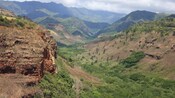 A large, rocky canyon with foliage and forest