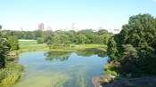A calm pond in a park with lots of trees and high-rise buildings in the far distance