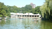 Passeio a pé no Central Park