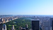 New York on Your Own - Onboard Bookings Only
