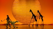 Stage design depicting African animals silhouetted against the sun