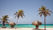 People at a beach featuring palapa umbrellas and palm trees