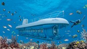 A submarine filled with passengers glides through the water amid an array of marine life