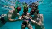 Um homem, uma mulher e uma criança de snorkel segurando uma estrela-do-mar